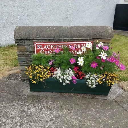 Tatil Evi Luxury Town House *