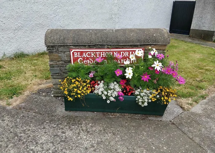 Casa vacanze Luxury Town House *